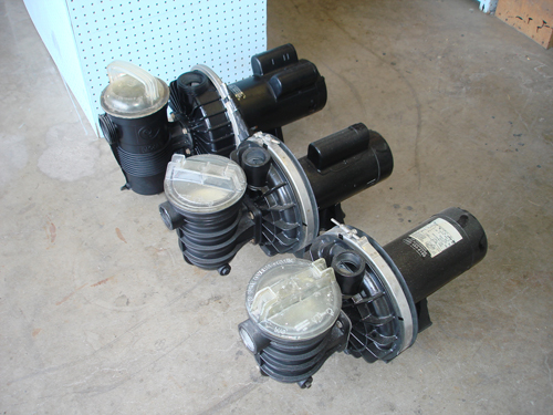 Pool & Spa Motors in stock! spa and swimming motors phoenix, swimming pool motor phoenix